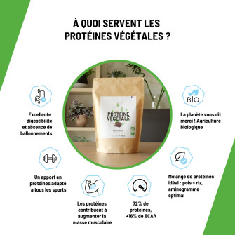 Prot Ine V G Tale Bio Et Vegan Riz Et Pois En Poudre