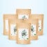 Feuilles d'ortie bio en poudre