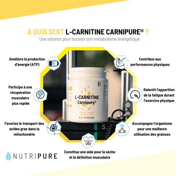 L-Carnitine Carnipure®