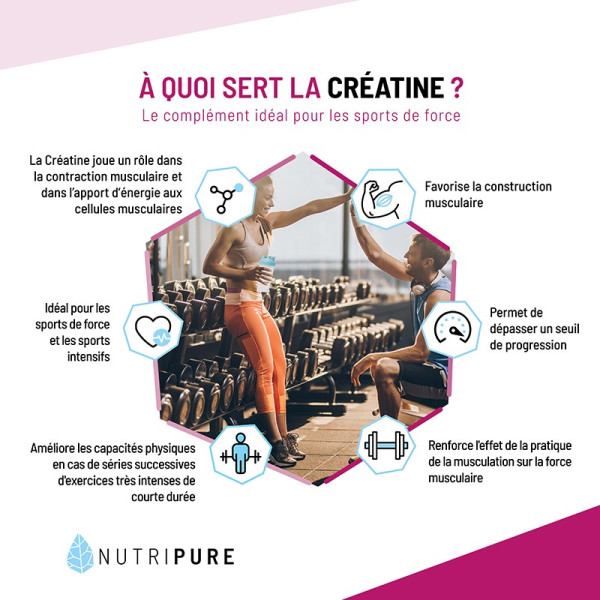 creatine musculation