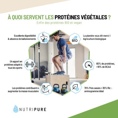 proteine vegetale musculation