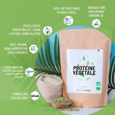 proteine vegetale en poudre