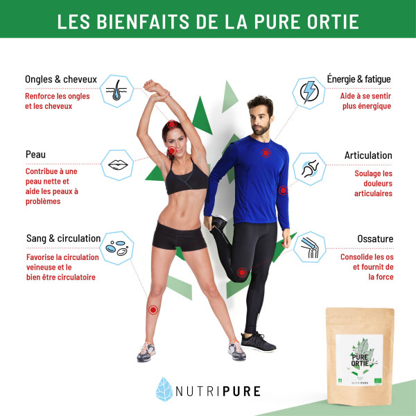bienfait ortie