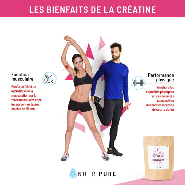 creatine action