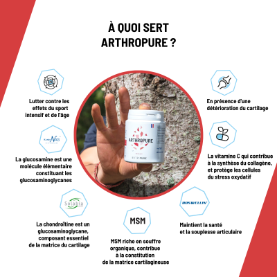 Arthropure : MSM Chondroïtine Glucosamine Boswellia