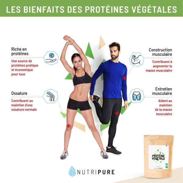 bienfait protéine végétale