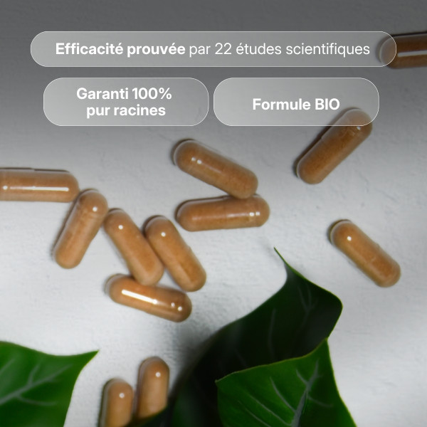 Ashwagandha KSM66 bio