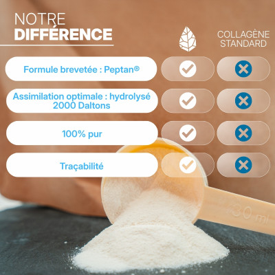 Peptide de collagène Peptan®