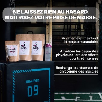 Pack prise de masse