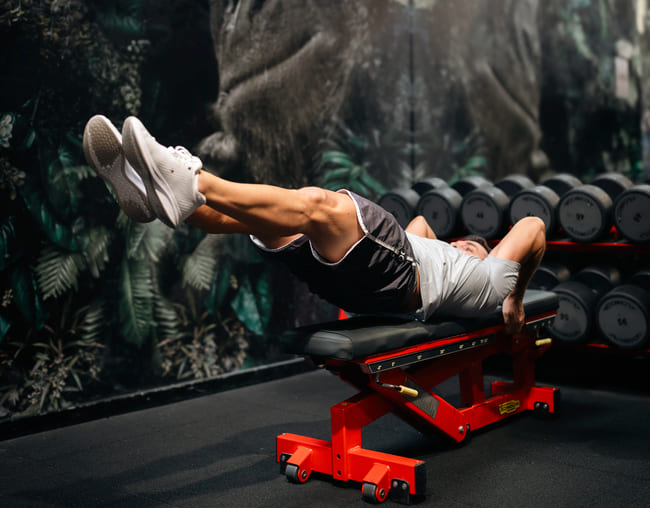 entraînement musculation