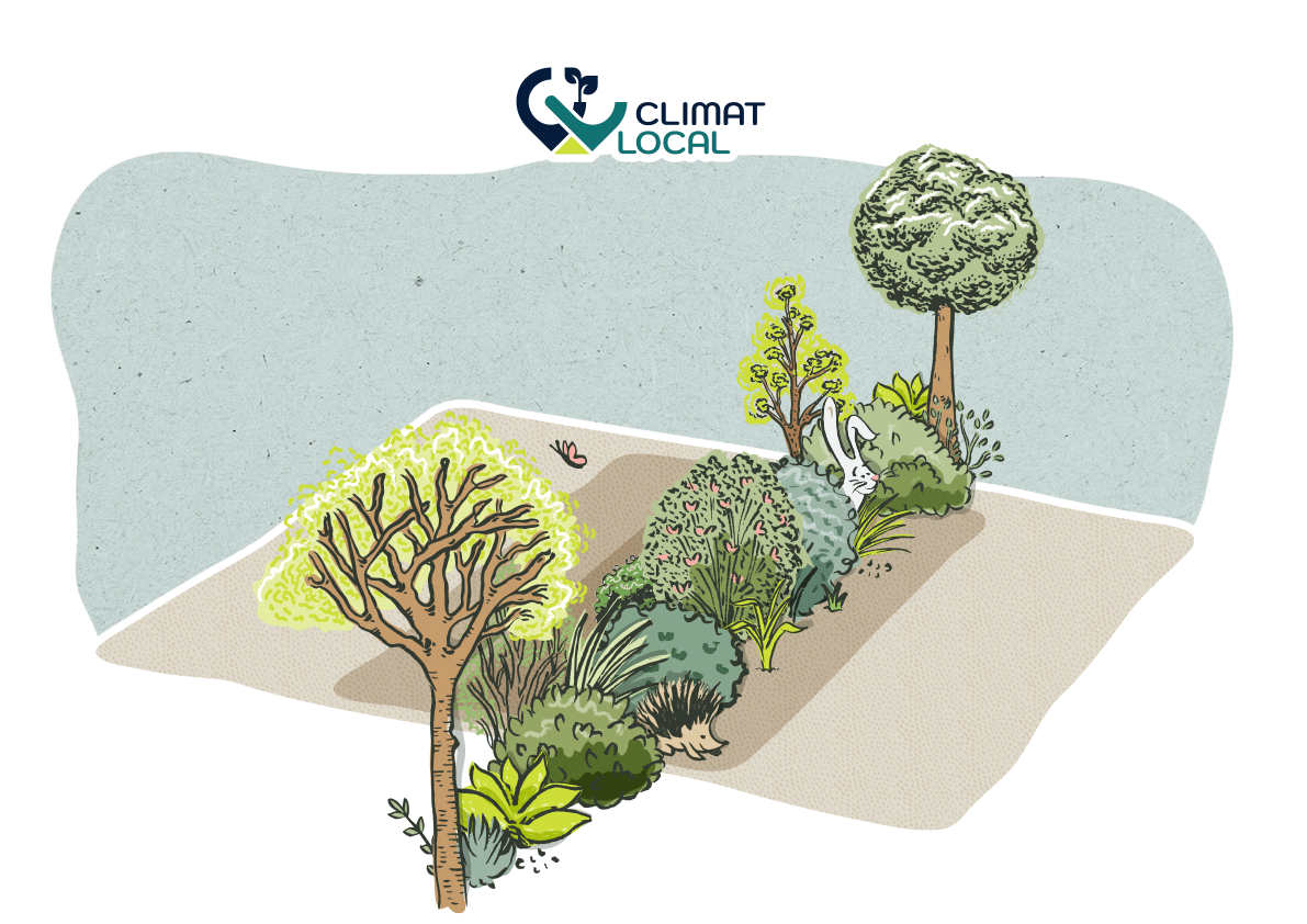 rôle haie champêtre compensation co2