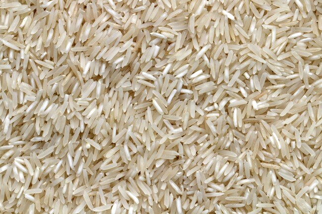glucide : riz