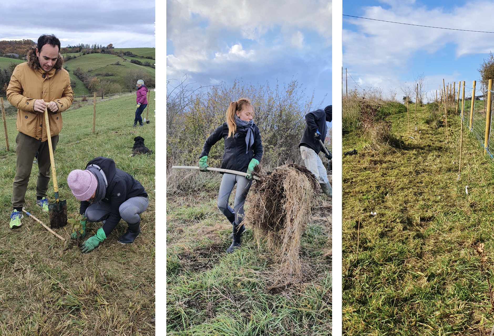 Nutripure compensation émission co2