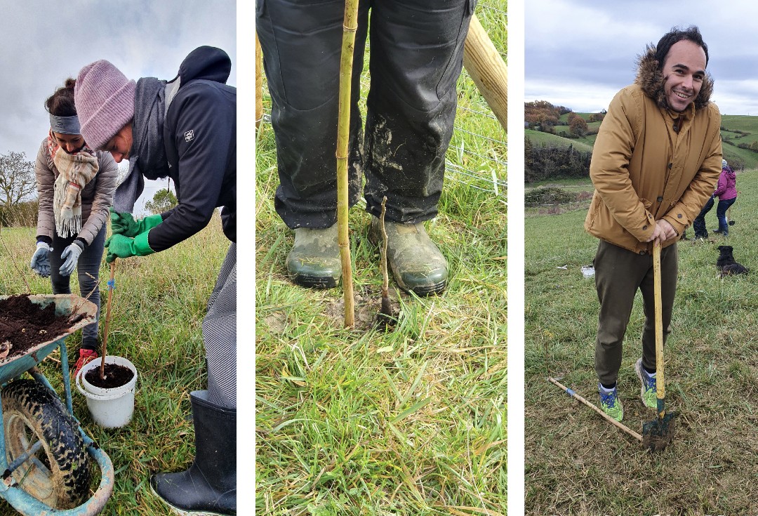 Nutripure compensation carbone