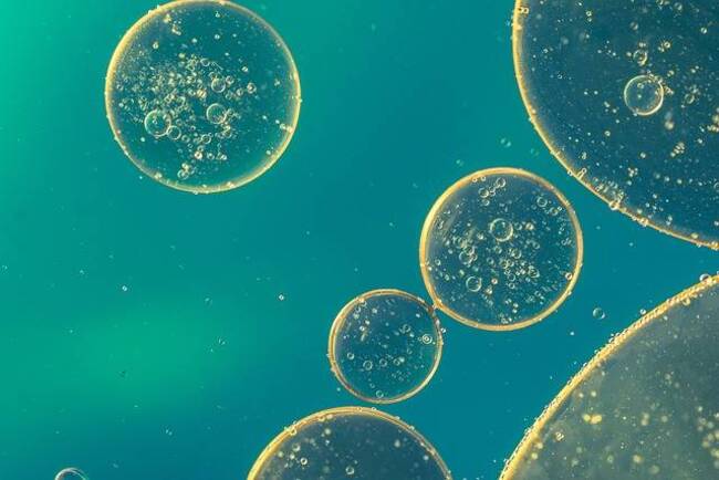 quel collagène marin choisir