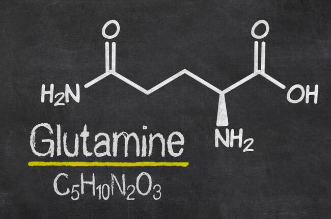 glutamine utilisation