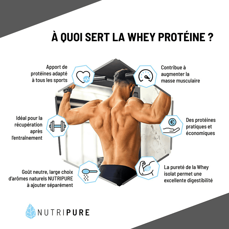 à quoi sert la whey protéine infographie