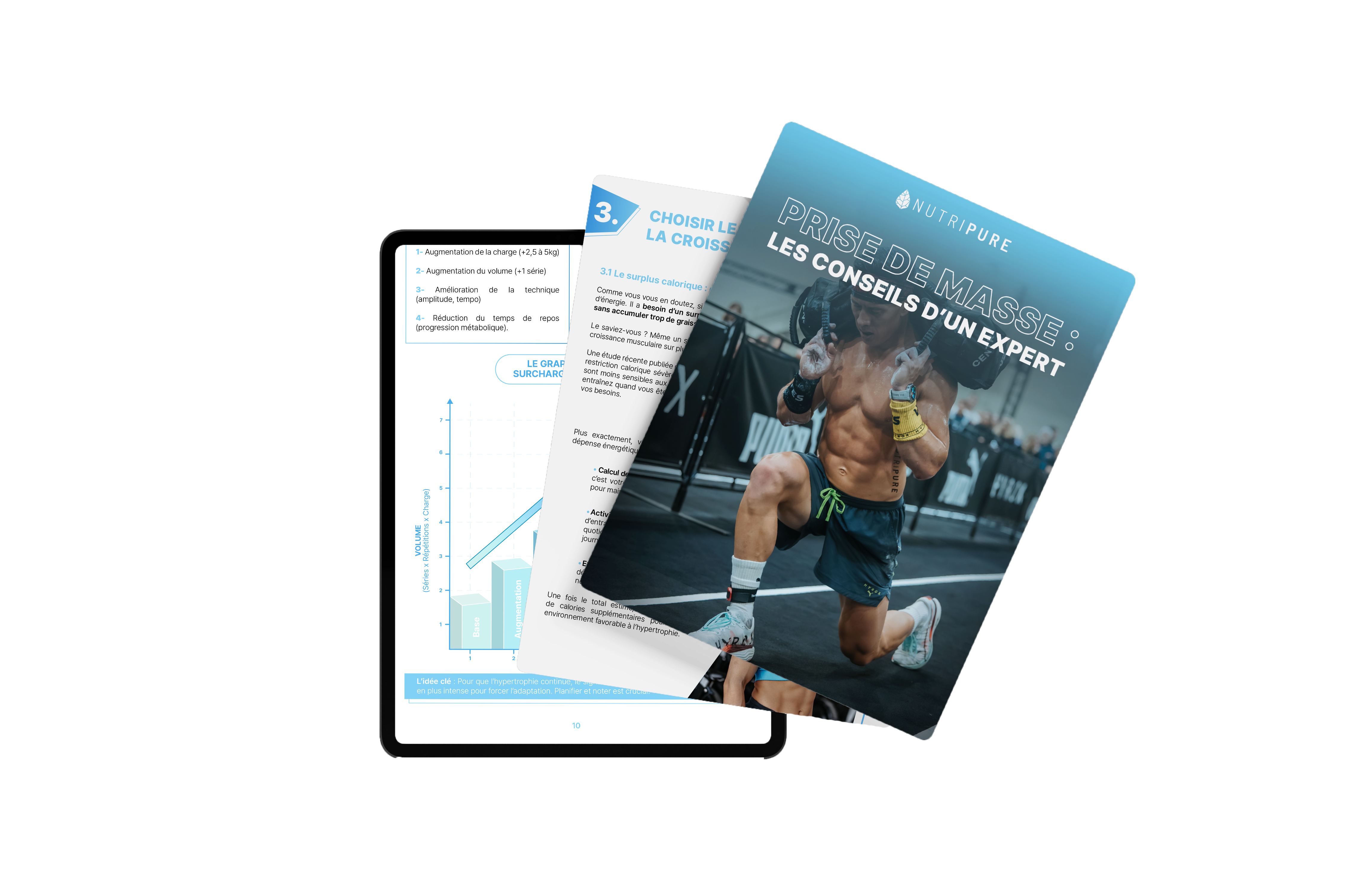 Ebook Digestion Nutripure