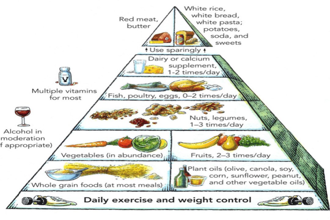 Les fibres sont incontournables dans votre pyramide alimentaire.