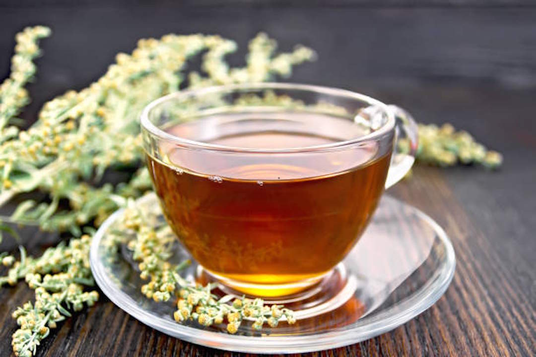 Tisane artemesia et bienfaits