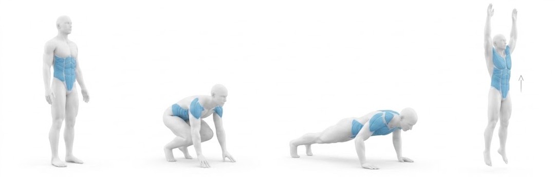 Burpees exercice pour perdre du ventre