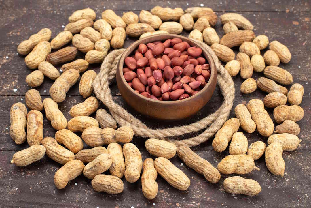 La cacahuète fait partie des légumineuses