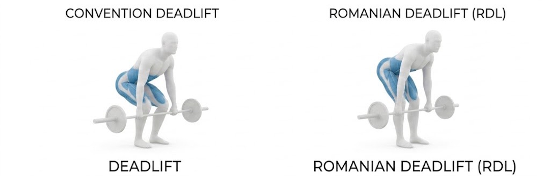 La différence entre Deadlift et RDL