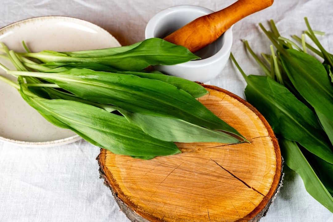  Les feuilles fraîches restent la forme la plus naturelle et la plus riche en principes actifs.