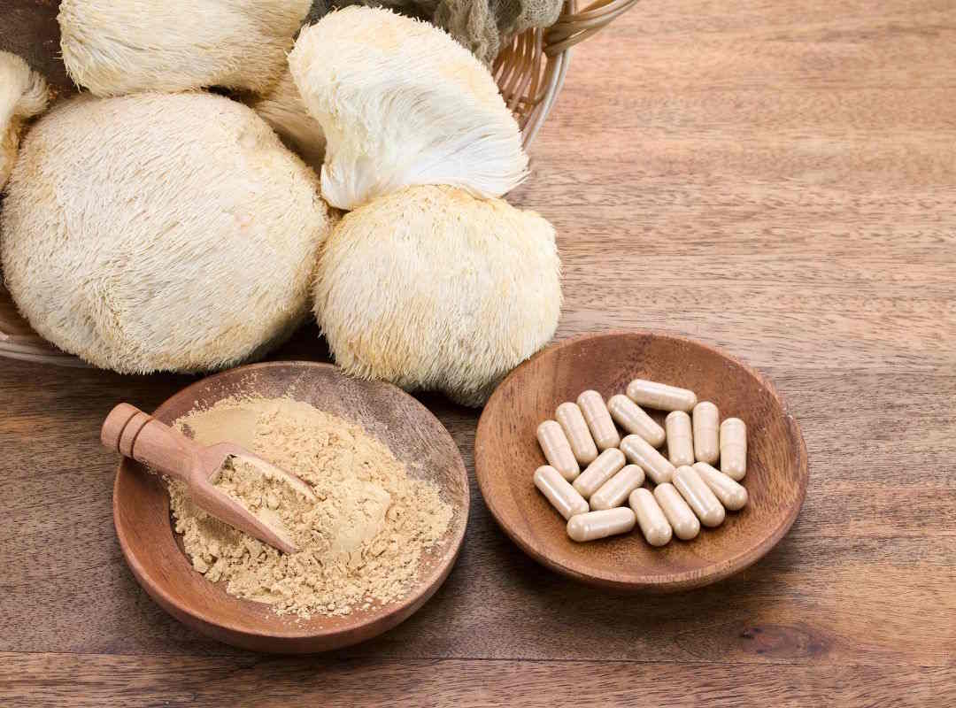 Les formes du lion's mane en poudre et gélules