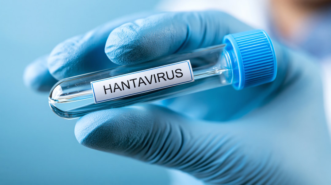 Illustration hantavirus