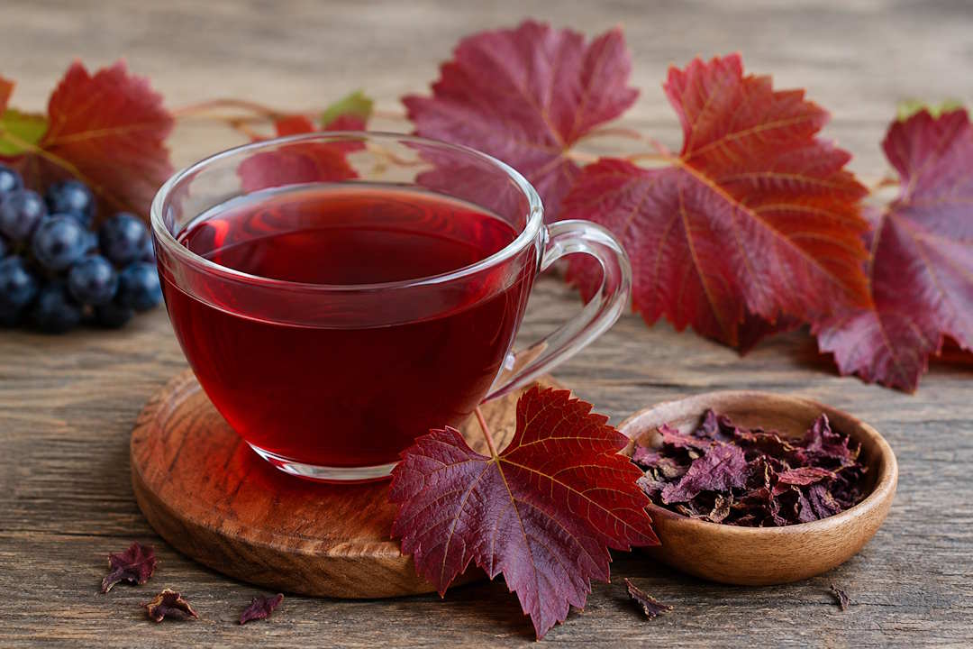 La vigne rouge en infusion