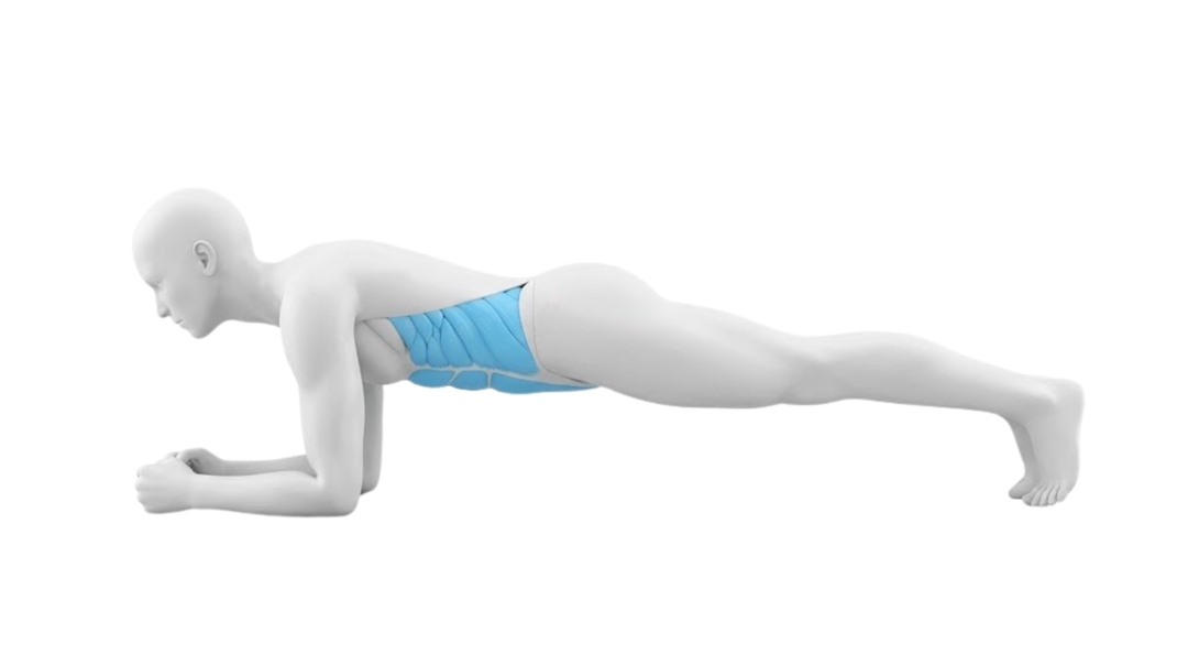 La Planche exercice Adbos