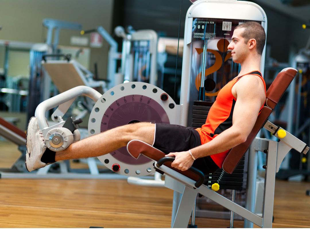 Leg Curl Assis