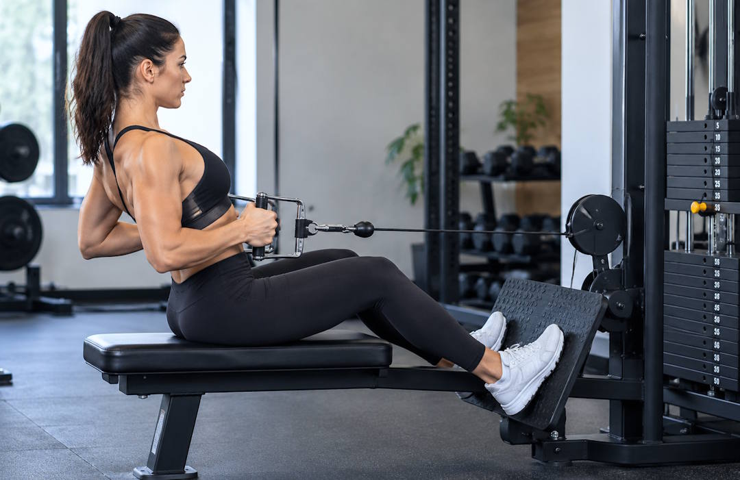 Exercice n°4 : Le tirage horizontal (rowing), l'épaisseur et la rétraction