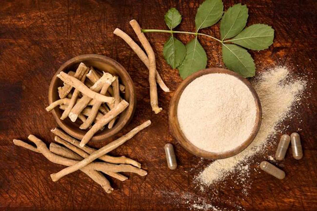 Ashwagandha en poudre ou en tige