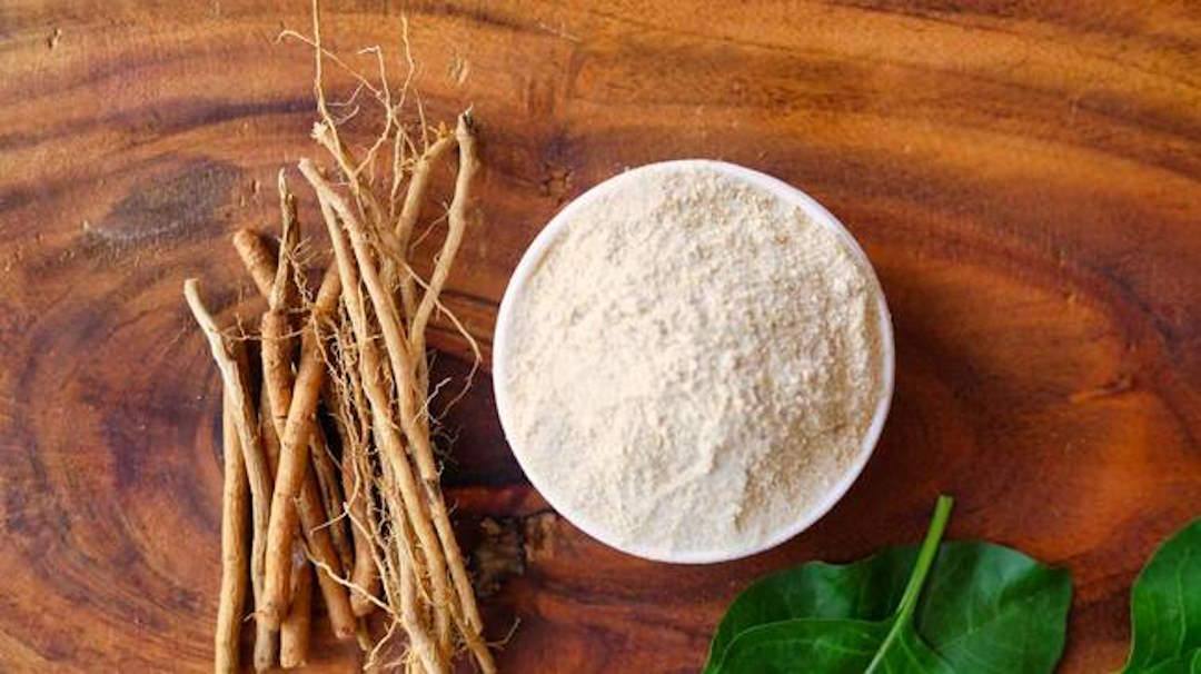 L'ashwagandha est une plante adaptogène plébiscitée pour ses nombreuses vertus et ses propriétés bienfaisantes. 
