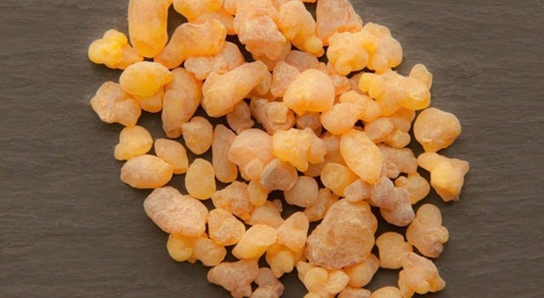 Boswellia 
