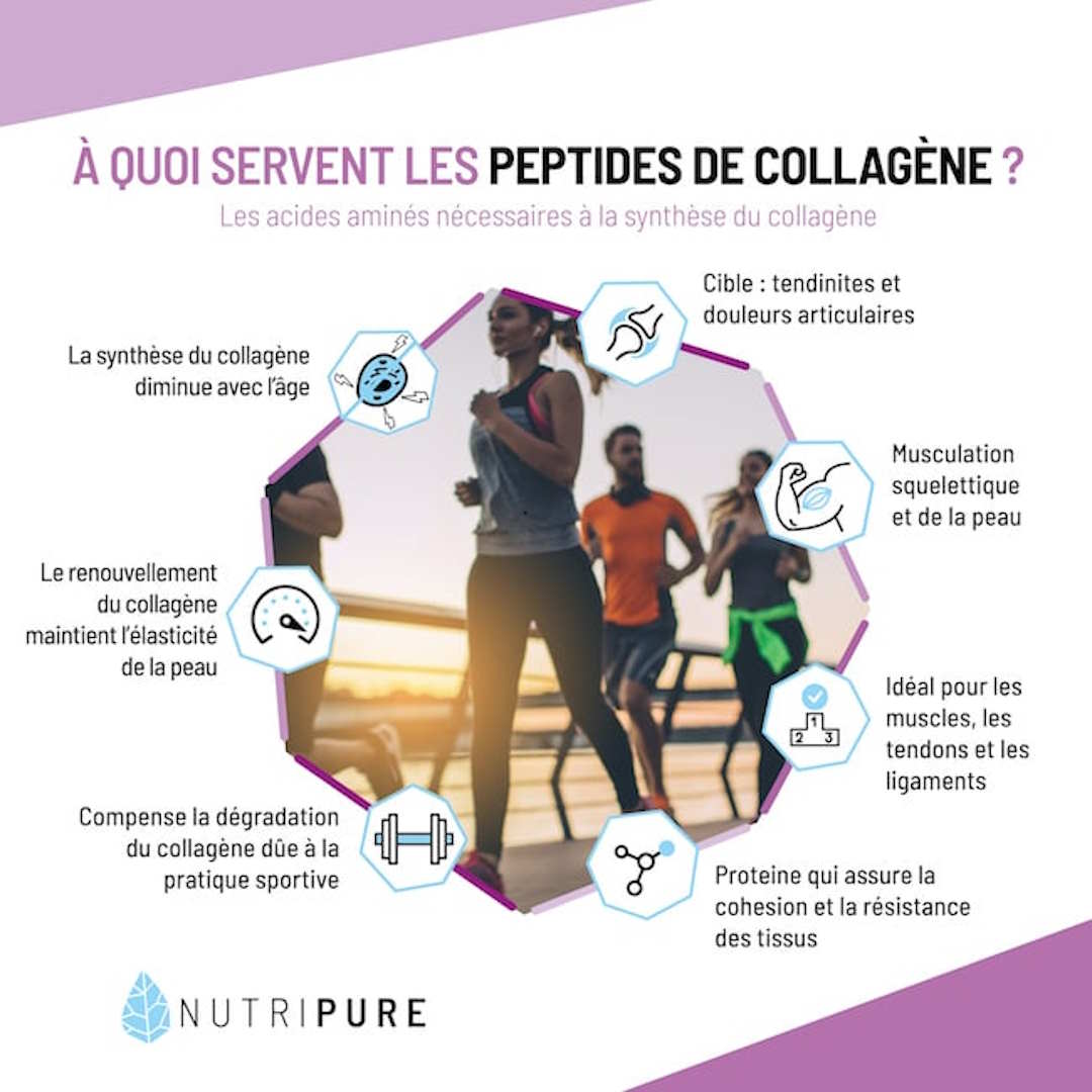 Les bienfaits du collagène pour les sportifs