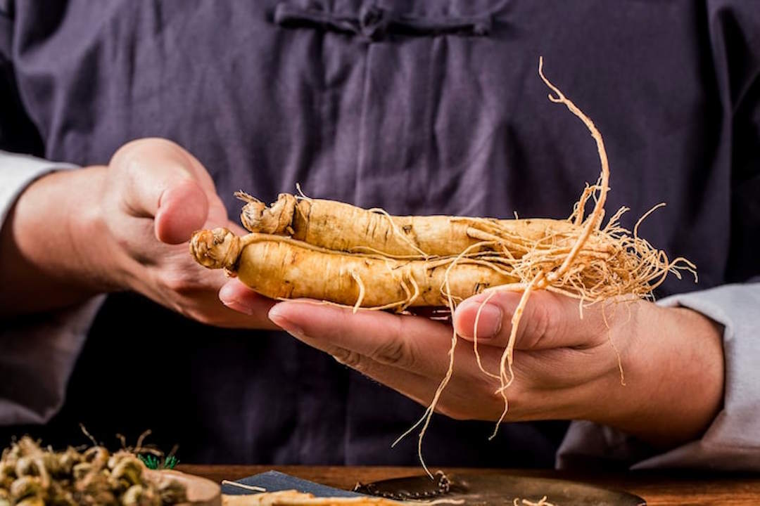 Un homme qui tient des ginseng