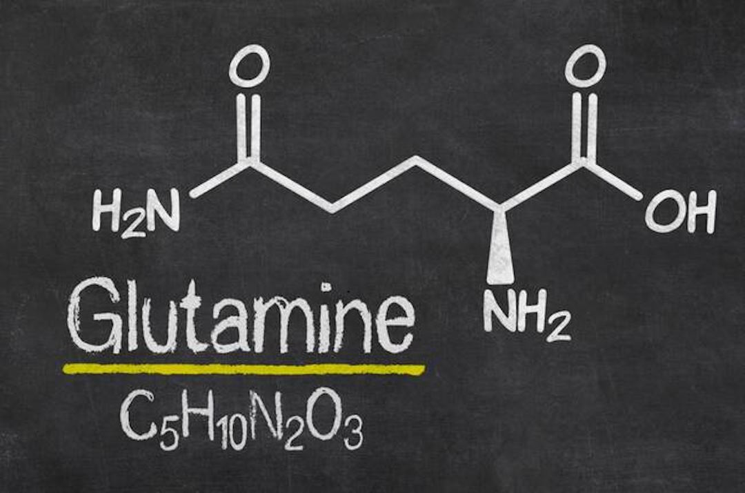 La glutamine est naturellement produit par l'organisme