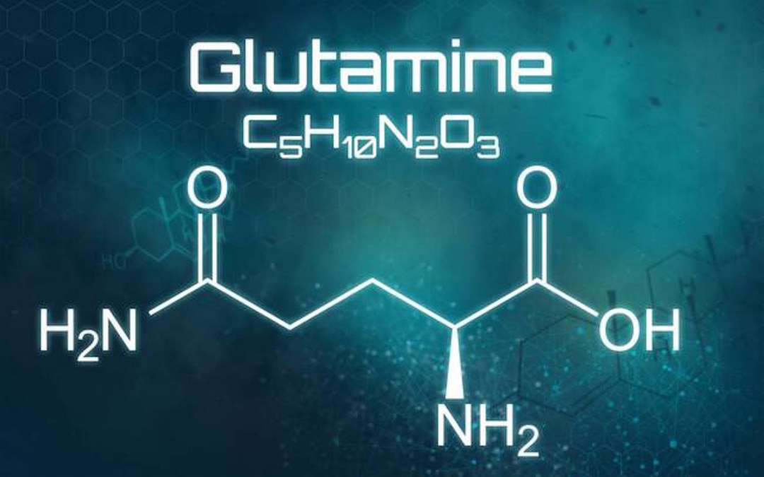 La glutamine est un acide aminé non essentiel qui est présent naturellement dans le corps humain.