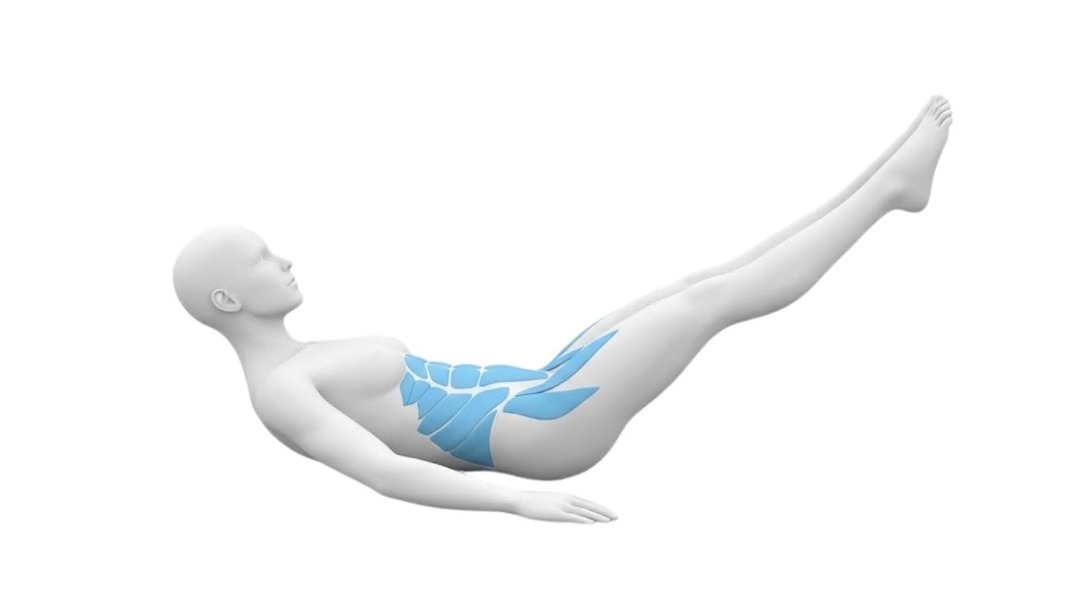 Le Hollow Body (La Banane) exercice abdos