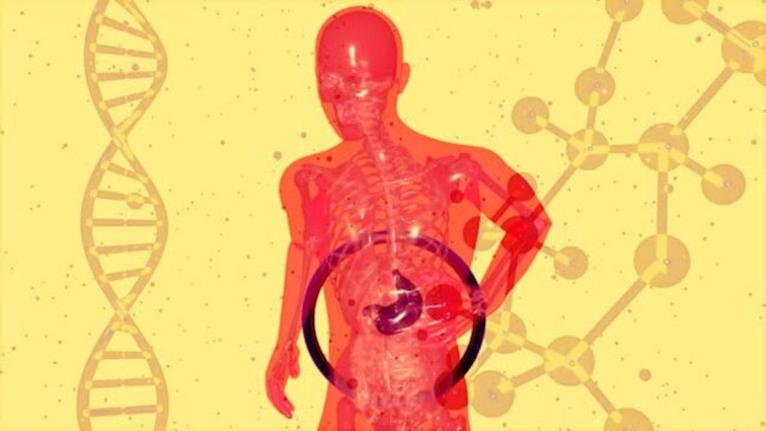 Le boswellia, anti-inflammatoire naturel, montre des effets prometteurs sur la santé hépatique. 