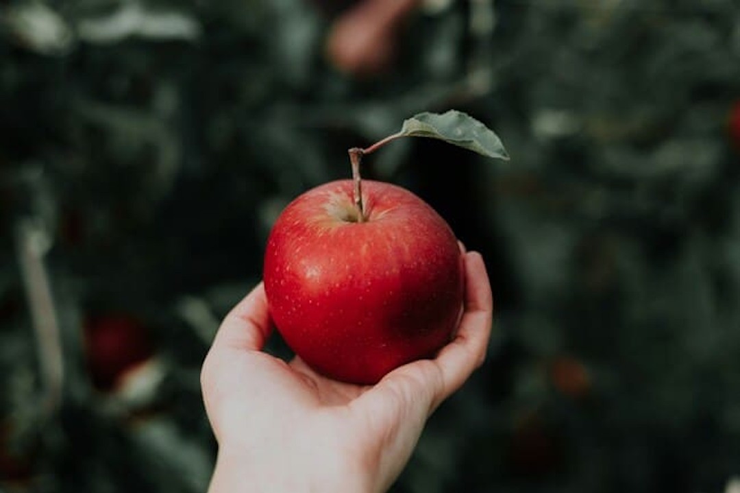 Une pomme rouge dans une main