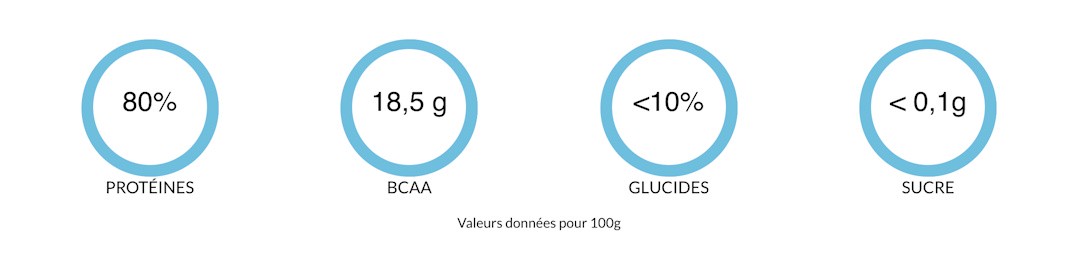 Illustration apport Prot&eacute;ines BCAA Glucides et Sucre