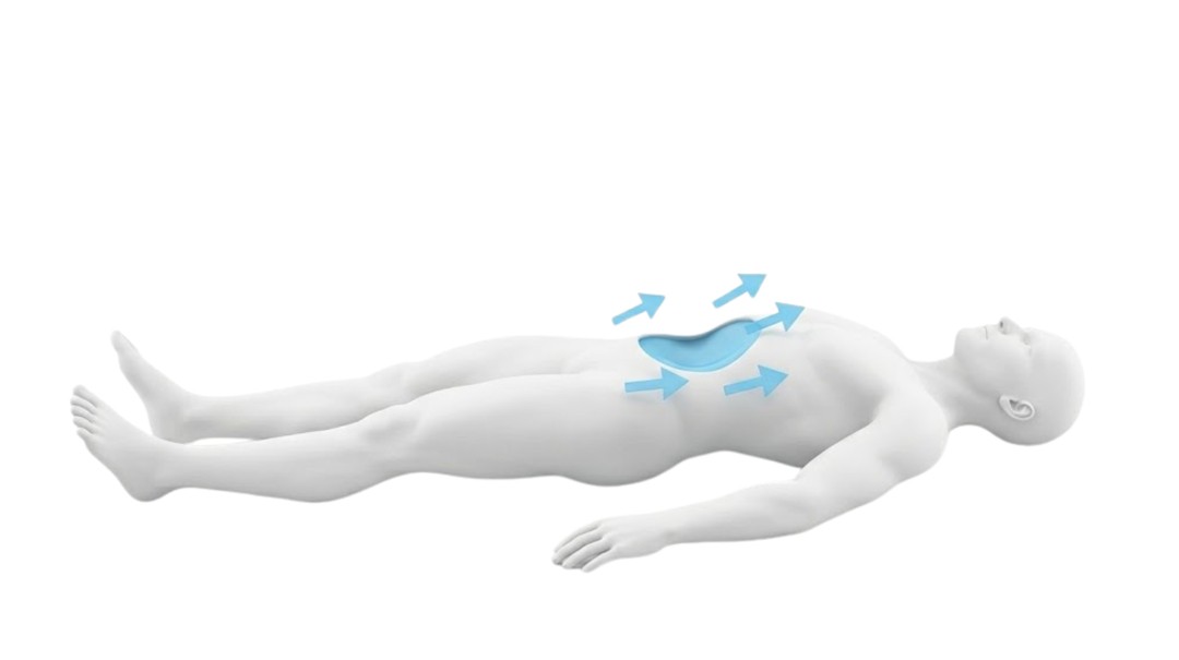 Stomach Vacuum exercice abdos