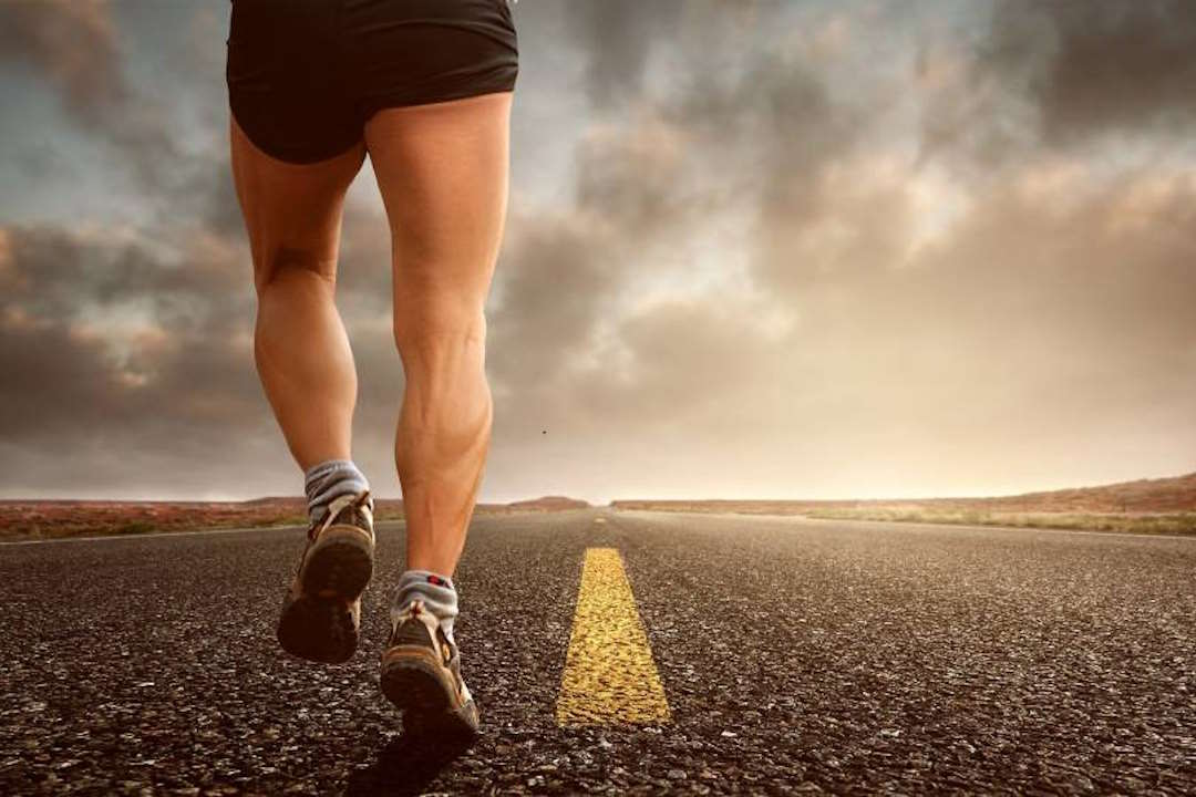 L'utilisation de BCAA est &eacute;galement parfaite pour optimiser la r&eacute;cup&eacute;ration apr&egrave;s l'entra&icirc;nement
