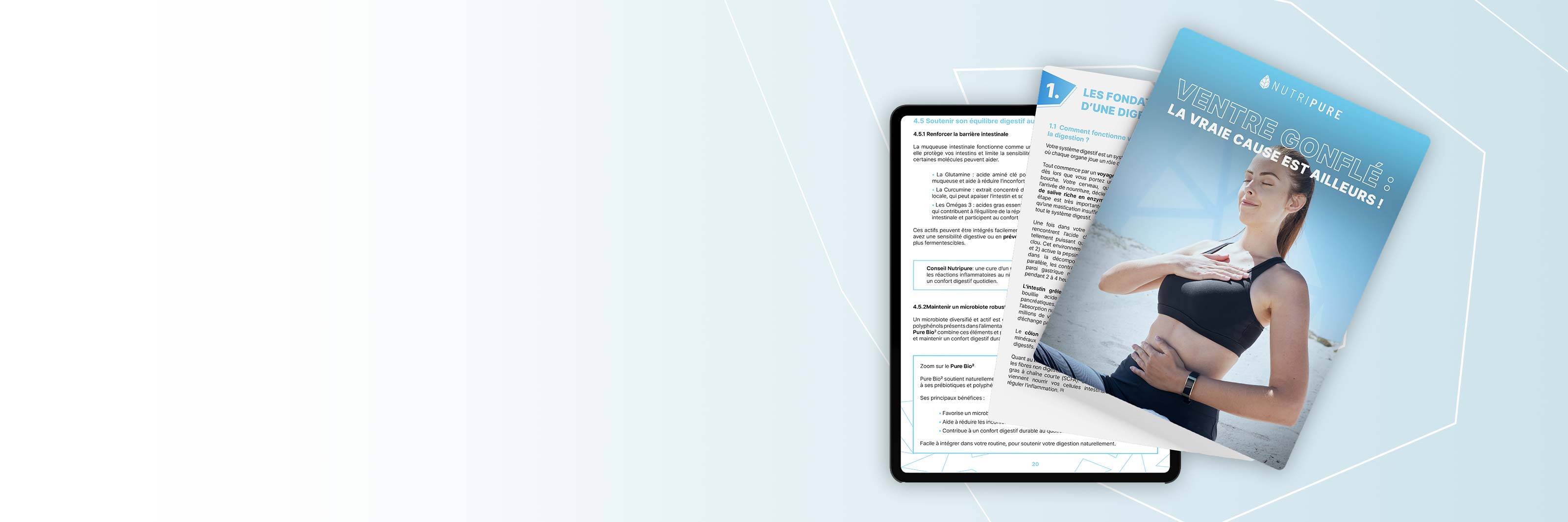 Je découvre l'ebook Ventre Gonflé