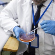 FIV (Fécondation In Vitro) : tout savoir sur le parcours et sa réussite