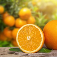 Orange : bienfaits et profil nutritionnel de cet agrume vitalité